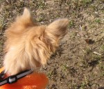 �������))))))