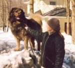 ��� ����� �������