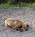 ������� � �������� �����-�������...