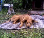 ������� �� �� ������...