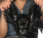 ����� � ���� �� ������, ���� �� �������!!!