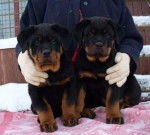 ��� ��� ������� � �� ����� ���� � ����;)