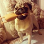 � ������� ����������=)